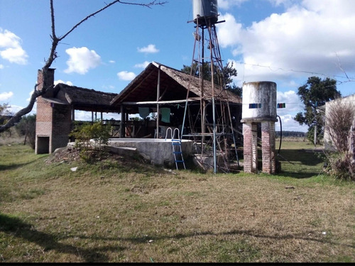 Imagen 5 de 14 de Se Vende Campo De 2.5 Hect Con Casa Y Piscina En Mercedes !!