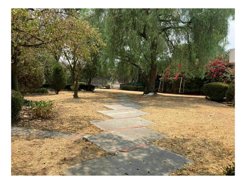 Imagen 4 de 13 de Excelente Terreno En La Mejor Zona De Jardines Del Pedregal