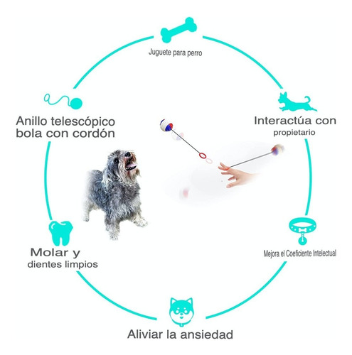 Pelota Tipo Yoyo Para Perros Con Cuerda Retractil Color