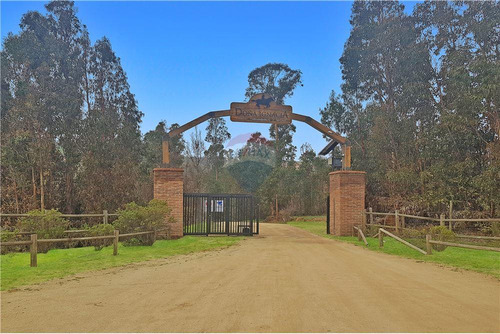 Sector Los Laureles - Terreno En Limache 5000 Mt