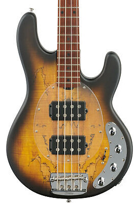 Sterling Ray34hhsm Stingray Hh Spalted Maple Top 4-strin Eea