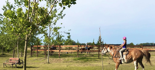Venta De Lote, La Plata
