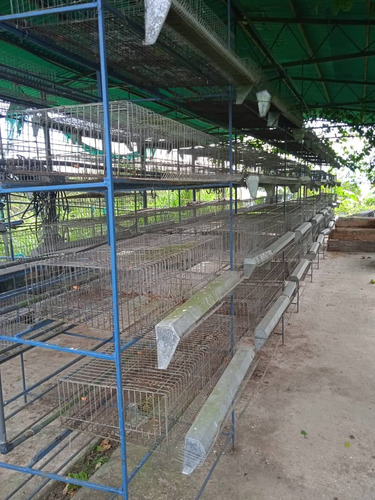 Imagen 19 de 27 de Finca La Esperanza En El Municipio San Cristobal, Estado Tachira. Vende Crismelia Castillo.