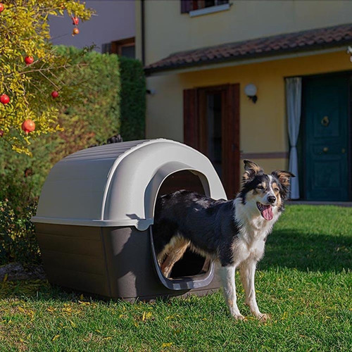 Imagen 5 de 9 de Casilla Cucha Perros Medianos 03/89cm. + E. Gratis*
