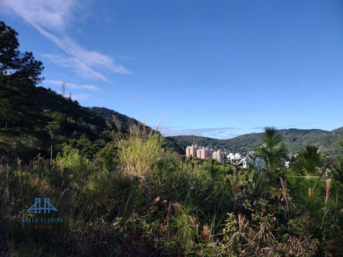 Imagem 15 de 26 de Terreno À Venda, 489 M² Por R$ 697.500,00 - Itacorubi - Florianópolis/sc - Te0085