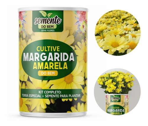 Semente Para Flor Margarida Amarela Sementes Do Bem 295168