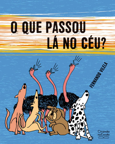 Livro O Que Passou Lá No Céu? De Fernando Vilela Edição 1 Ano 2023 Editora Ciranda Cultural