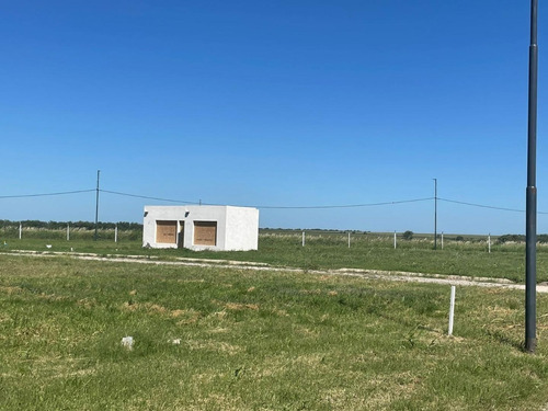 Imagen 5 de 12 de Se Vende Lote En La Ernestina 300 Mts Oportunidad