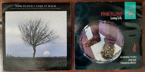 2 Vinil 7'' Pink Floyd Take It Back Learning To Fly Color Uk (Usado)