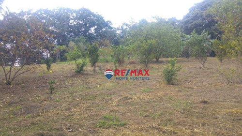 Imagem 20 de 22 de Chácara À Venda, 23500 M² Por R$ 1.845.000,00 - Sousas - Campinas/sp - Ch0091