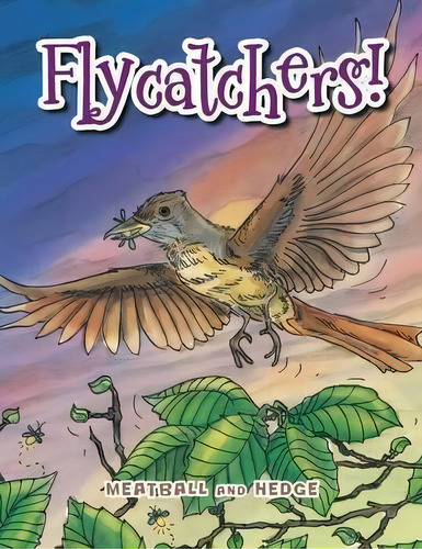 Flycatchers!, De Meatball And Hedge. Editorial Xlibris, Tapa Blanda En Inglés
