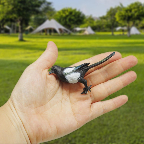 3 Simulação De Pássaro Pega, Figuras De Pássaros,