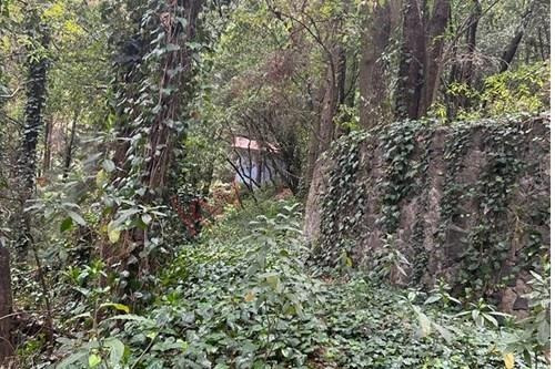 Imagen 21 de 25 de Terreno De 4,418 Metros En Venta En El Desierto De Los Leones