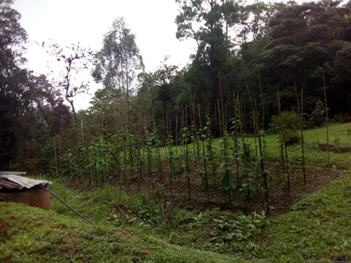 215 Se Vende Hermosa Casa Campestre Ubicada En La Elvira Vereda El Vergel / Cali