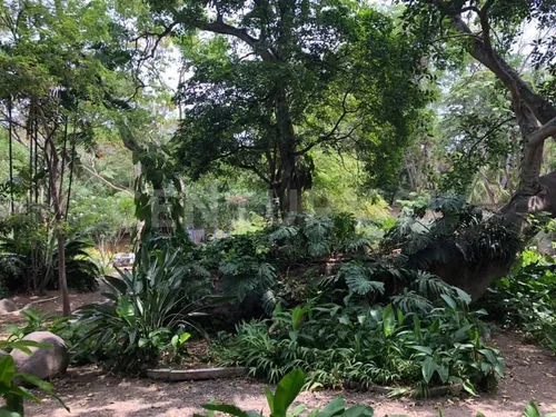 Casa En Venta En El Centro De Comala