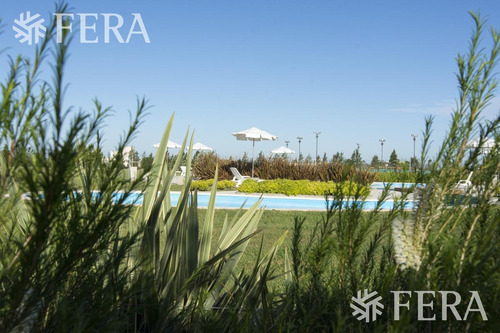 Imagen 13 de 14 de Venta De Terreno En Campos De Roca Ii (29916)
