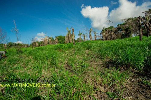 Imagem 7 de 15 de Fazenda Para Venda Em Itanagra, Zona Rural - 557_1-1292323