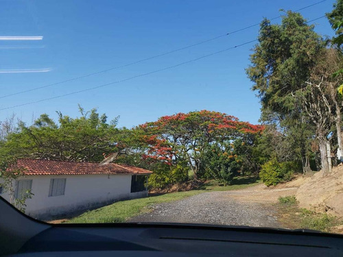 Imagem 6 de 29 de Terreno À Venda, Vila Nova Itapetininga, Itapetininga, Sp - Sp - Te0007_dcoe