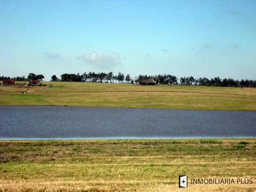 Venta De Terreno Con Financiación En La Laguna De Los Cisnes Punta Del Este C911