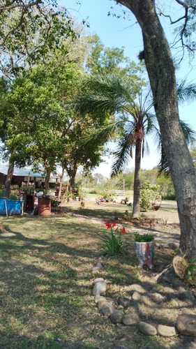 Quinta