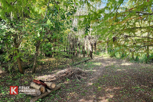 Venta De Fracción Con Costa Sobre Rio Paranacito