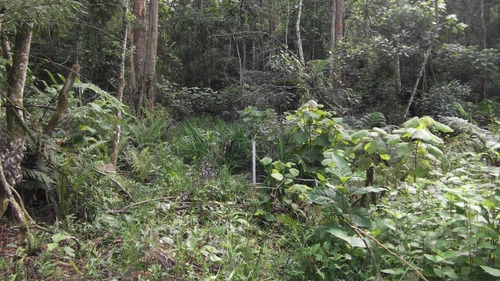 Terreno Em Chácara Recanto Verde, Cotia/sp De 0m² À Venda Por R$ 250.000,00 - Te751436