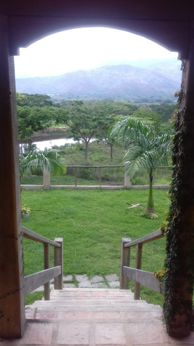 Imagen 12 de 18 de Se Vende Finca 114 Hectáreas Carabobo Bejuma. Cod. 4616212