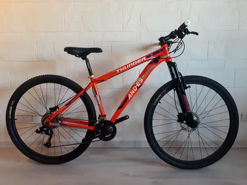 Bicicleta rodado 29 andes new arrivals
