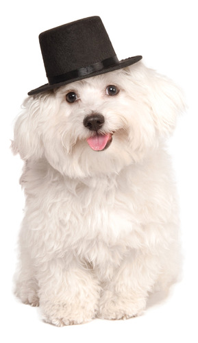Rubie's Sombrero Superior Para Tu Mascota, Medium/large