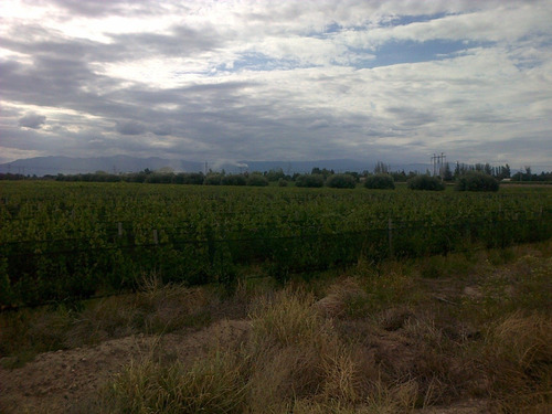 Imagen 2 de 8 de 8.5 Ha Cruz De Piedra - P/loteo