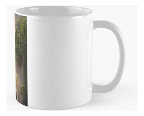 Taza Nómadas Cascada Paz Tranquilidad Espiritualidad Calidad