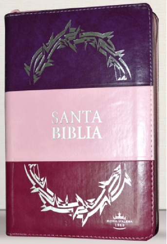 Biblia Reina Valera 1960 Letra Grande Pjr Cierre Rosa 