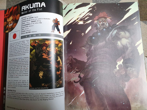 Street Fighter World Warrior Encyclopedia Artbook Udon