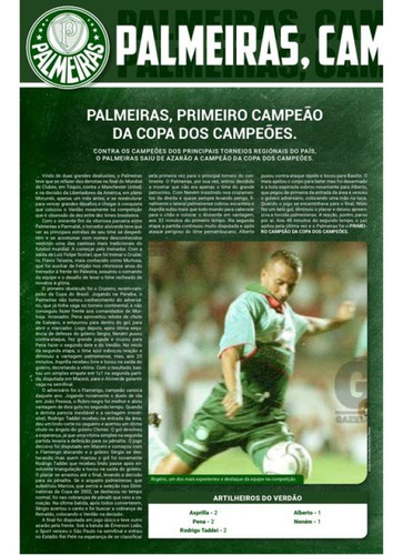 Coleção Oficial Histórica Palmeiras Edição 18 - Pôster, De On Line Editora. Editorial Online, Capa Mole, Edição 2023-02-09 00:00:00 Em Português, 2022