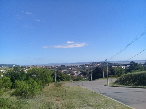 Terreno Em Vila Nova - Lu268324