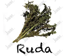Comprar Ruda Planta Medicinal 100% Natural, Pura 250 Gramos