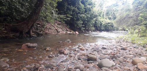 Imagen 10 de 18 de Hermosa Finca De 170has, En Yaracuy, Emss Vende