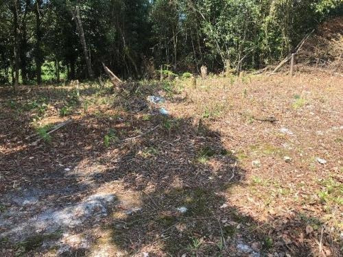 Chácara Localizada A 200mts Da Rodovia Em Itanhaém-sp