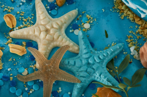 Molde de silicona 144 - Big Star Sea Bottom y otros
