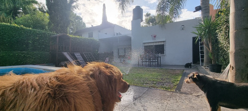 Guardería Y Estetica Canina Perritos Chicos,medianos,grandes