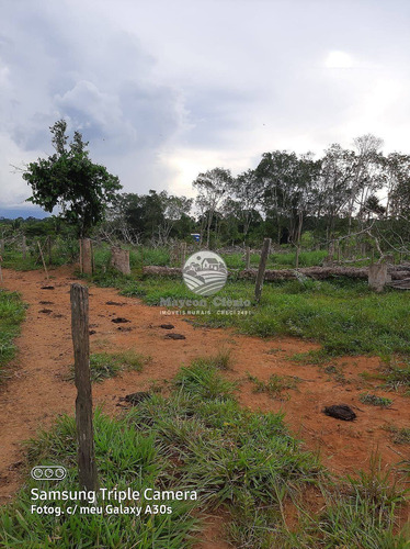 Imagem 9 de 11 de Venda Sítio Vale Do Anari Em Rondônia - Sig309