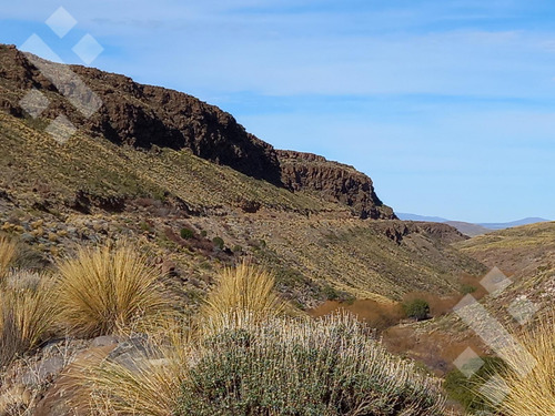 Venta De Estancia En Ruta Provincial 21, Kilómetro 31, Departamento Picunches, Paraje Huarenchenque