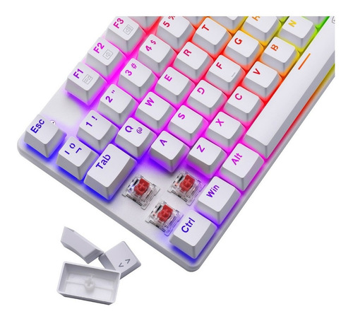 Teclado Gamer Mecanico T-dagger Bora White Rgb Outemu Red