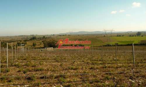 Imagen 6 de 20 de Venta De Chacra En Punta Del Este