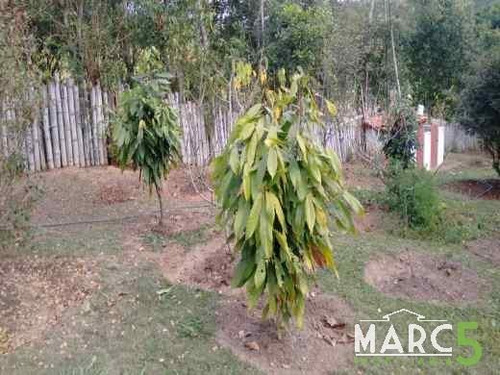 Imagem 7 de 18 de Chacara - Pouso Alegre - 788