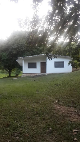 Imagen 1 de 9 de Terreno, Chirgua, Bejuma, Carabobo