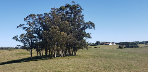 Imagen 28 de 30 de Chacra En Venta, Fraccion De 20 Has En Jose Ignacio (ref: Atm-6766)