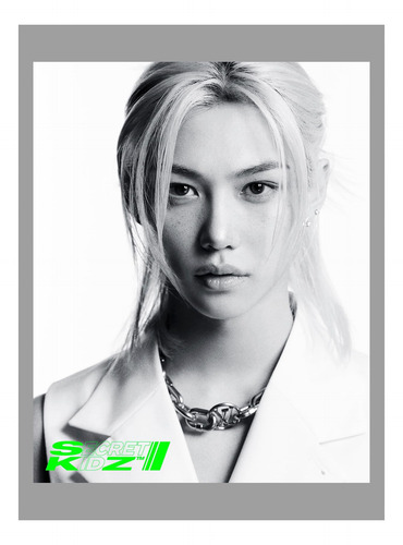 Dicon Volume N°21 Stray Kids B-secret Kidz Version Felix