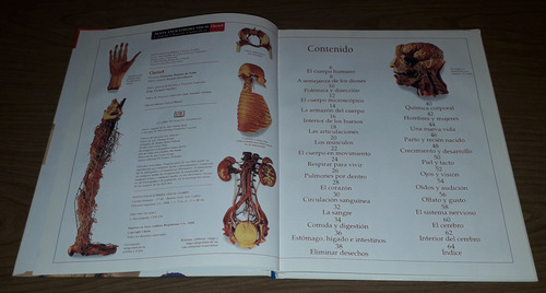 Libro Nueva Enciclopedia Visual Clarin Cuerpo Humano (Usado)