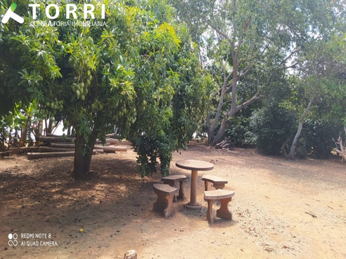 Imagem 12 de 27 de Chácara À Venda Em Barão De Antonina/sp Bairro Parte Norte - Ch00396 - 69572610